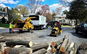 Best Lawn Mowing  in Linden, CA