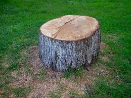 Best Storm Damage Tree Cleanup  in Linden, CA